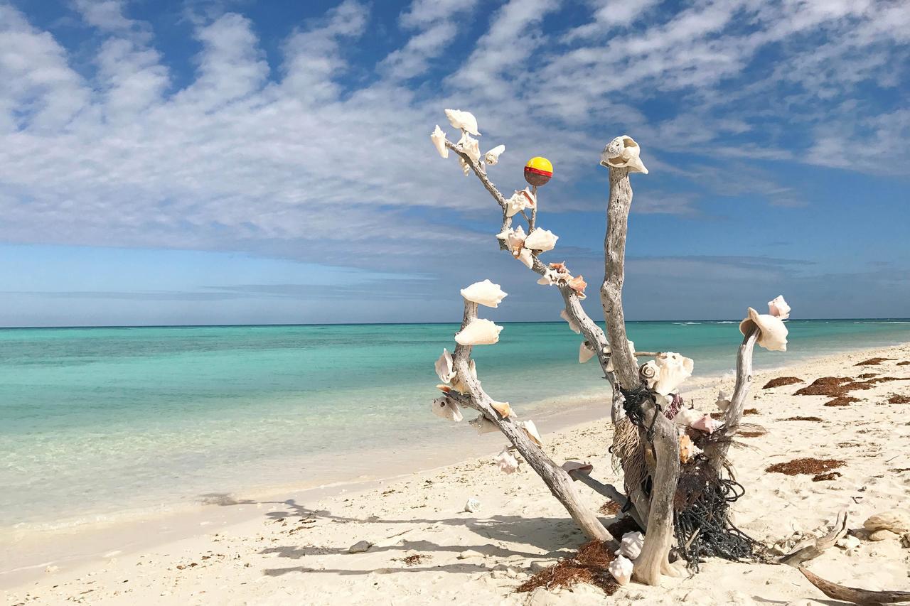 Conch Casa Villa Key West Bagian luar foto